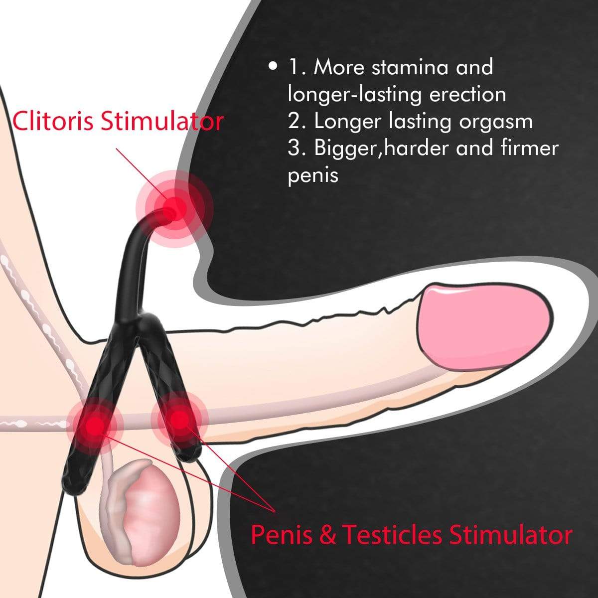 Sohimi Testicle Ring | Dual Penis Cock Ring